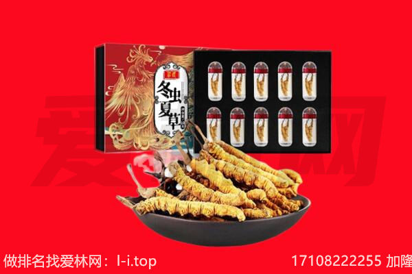 上海回收虫草.jpg